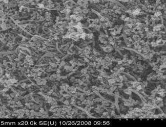 An SEM image of our Conductive Nanotubes Composite