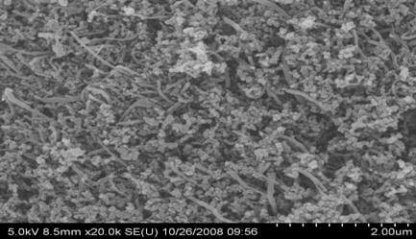 An SEM image of our Conductive Nanotubes Composite