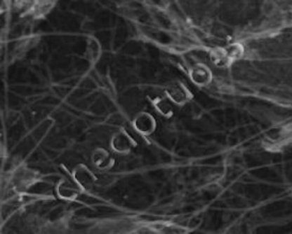 COOH-single-walled-double-walled-carbon-nanotubes-99